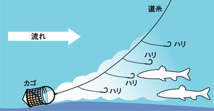 ちょい釣りドットコム